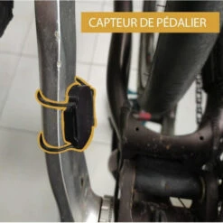 Roue Avant Avec Moteur Electrique Intégré Teebike 20" Reconditionnée -Pièces Détachées Pour Vélos roue avant avec moteur electrique integre teebike 20 reconditionnee 2